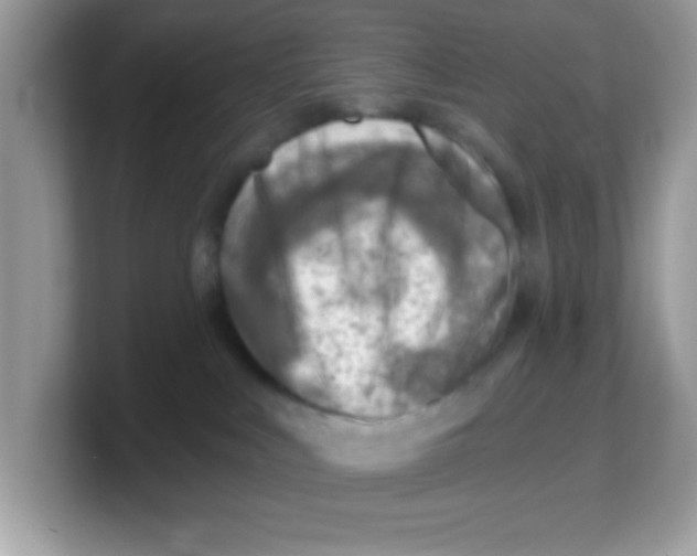 X0000103240043200809181553