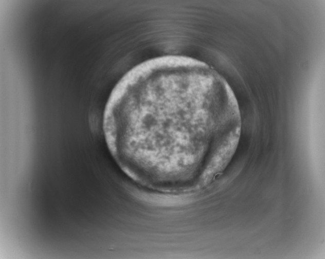 X0000103240044200809181553