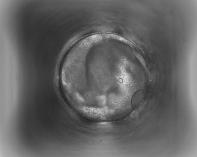 X0000103240053200809181552