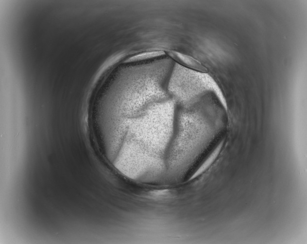 X0000103240054200809181552