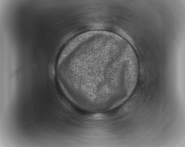 X0000103240059200809181552