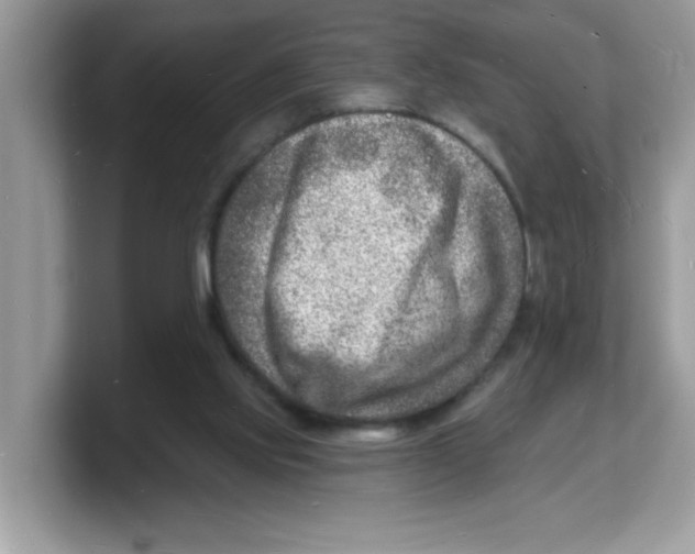 X0000103240061200809181552