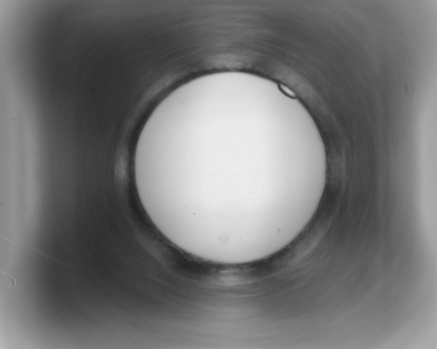 X0000103240064200809181552