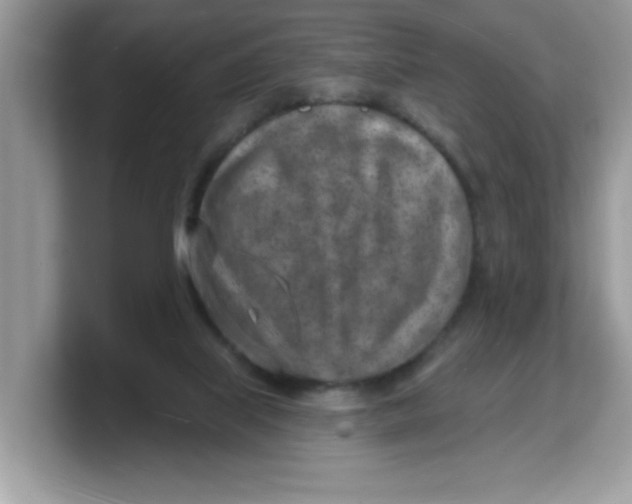 X0000103240067200809181552