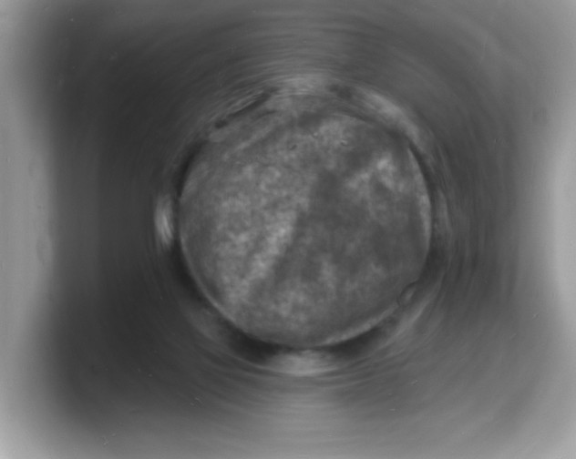 X0000103240069200809181552