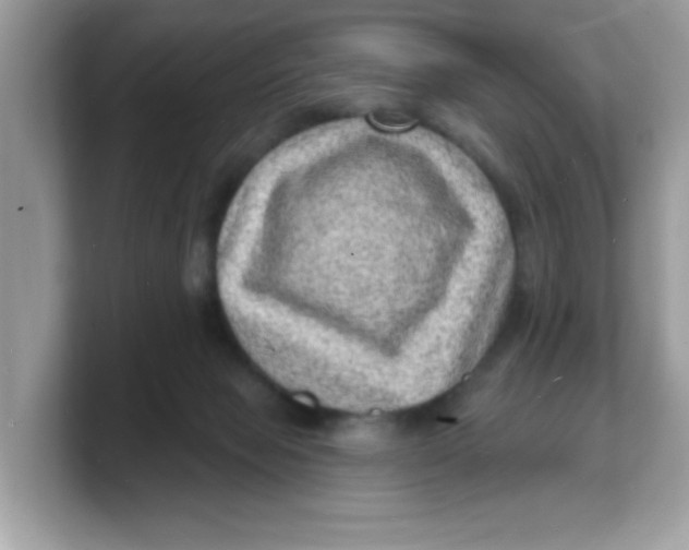 X0000103240077200809181552