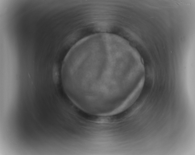 X0000103240080200809181552