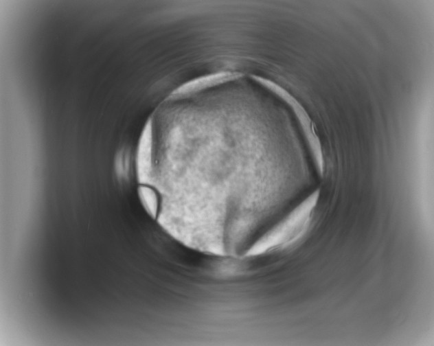 X0000103240094200809181553