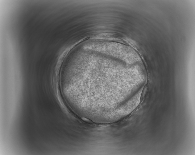 X0000103240097200809181552