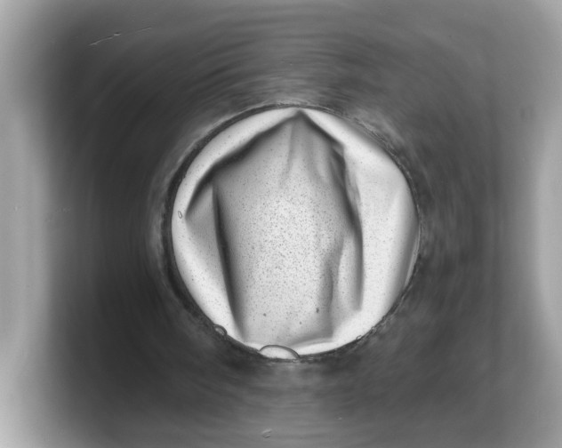 X0000103240098200809181552