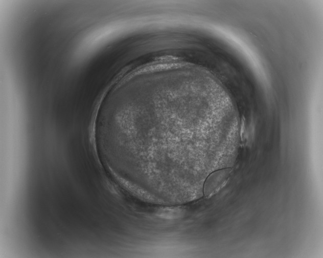 X0000103240099200809181552