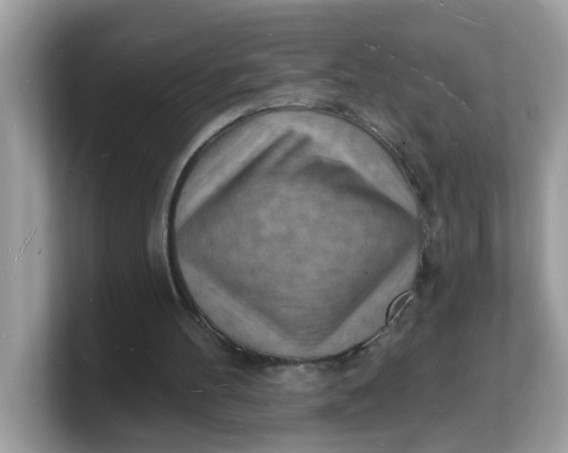 X0000103240100200809181552