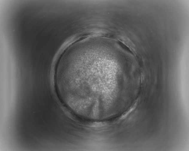 X0000103240101200809181552