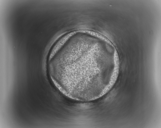 X0000103240103200809181552