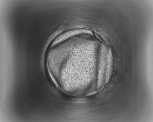 X0000103240104200809181552