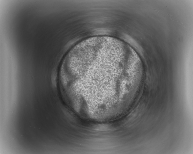 X0000103240107200809181552