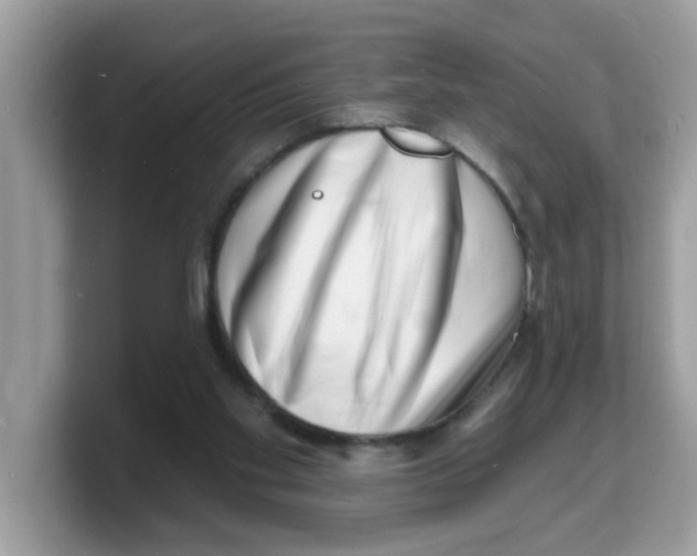 X0000103240109200809181552