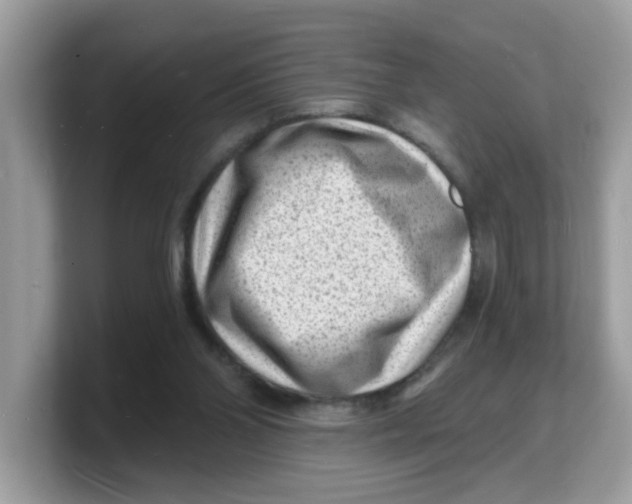 X0000103240110200809181552