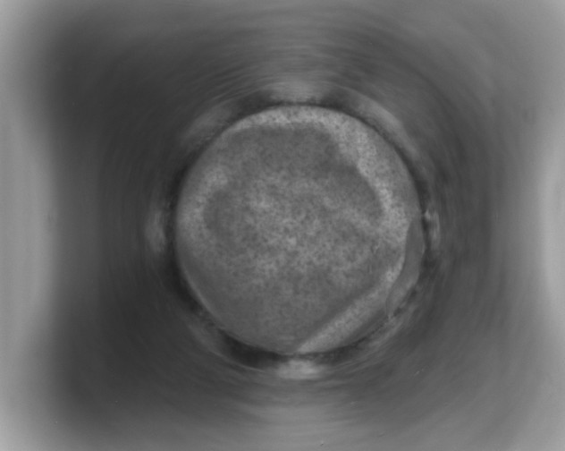 X0000103240114200809181552