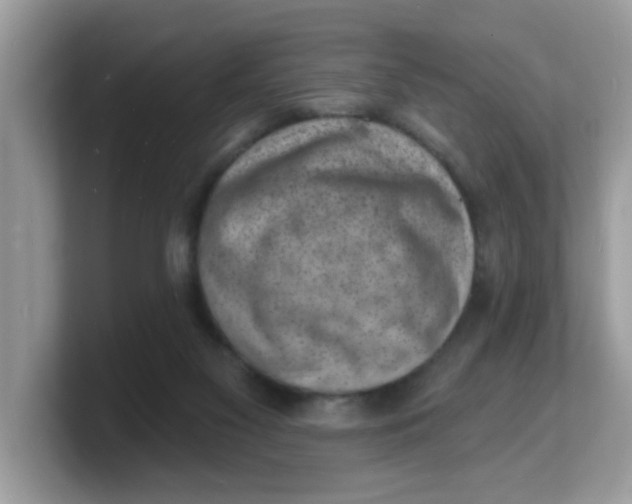 X0000103240117200809181552