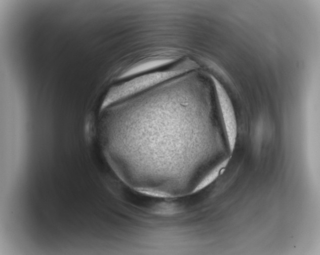 X0000103240119200809181552