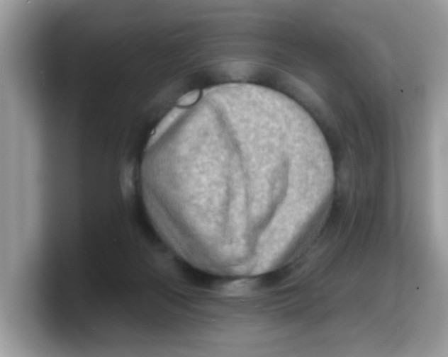 X0000103240122200809181552