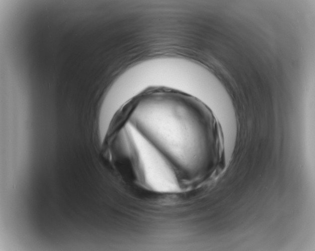 X0000103240124200809181552