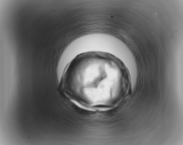 X0000103240125200809181552