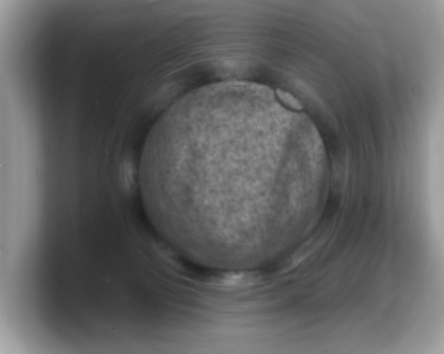 X0000103240130200809181551