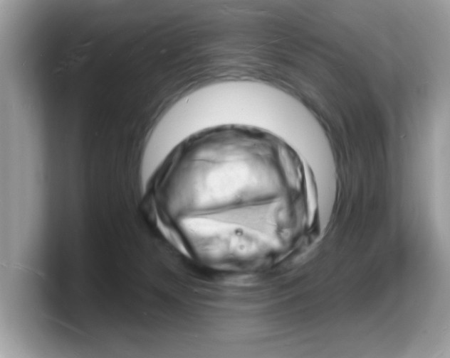 X0000103240132200809181551