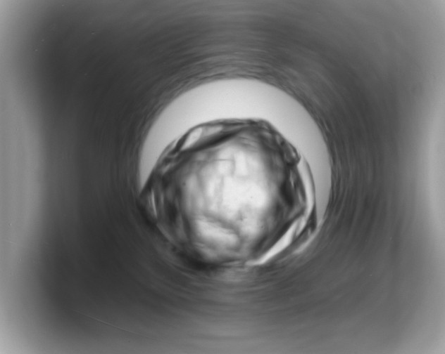 X0000103240136200809181551