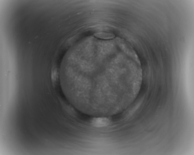 X0000103240137200809181551