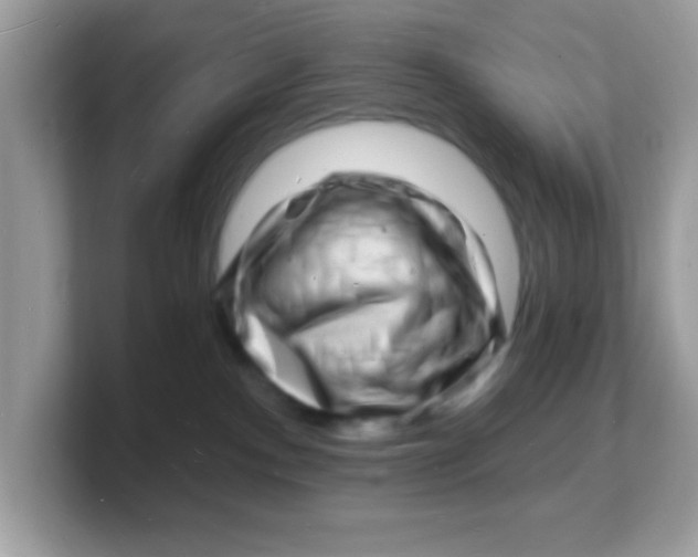 X0000103240140200809181551