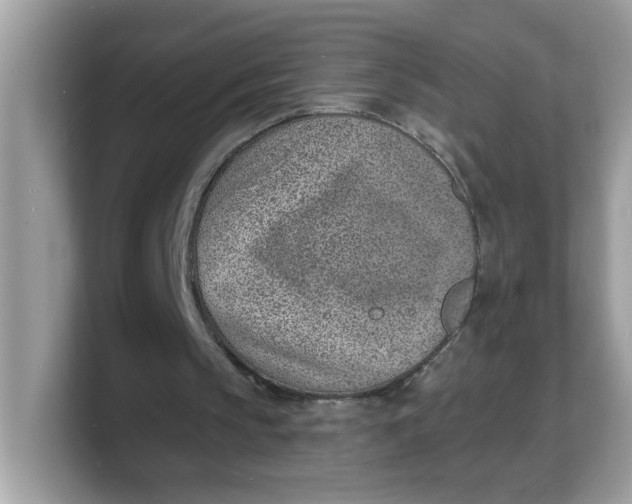 X0000103240145200809181551