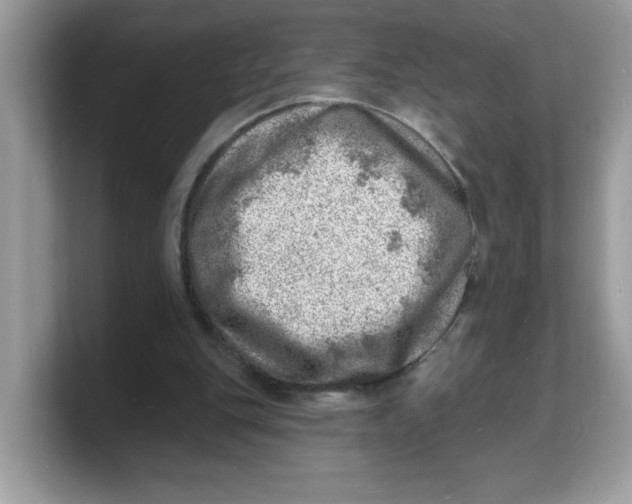 X0000103240151200809181551