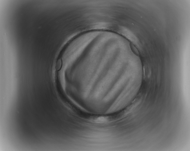 X0000103240156200809181551