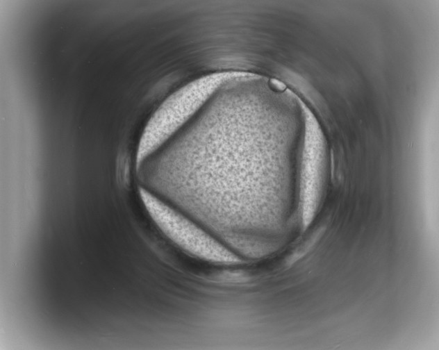 X0000103240157200809181551