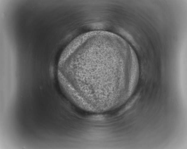 X0000103240161200809181551