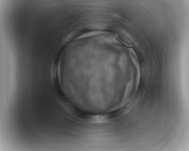 X0000103240168200809181551