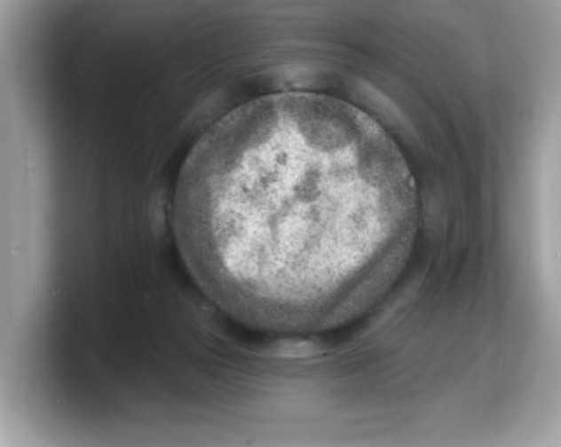 X0000103240169200809181551