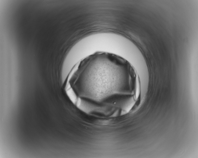 X0000103240170200809181551