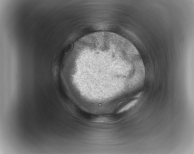 X0000103240171200809181551