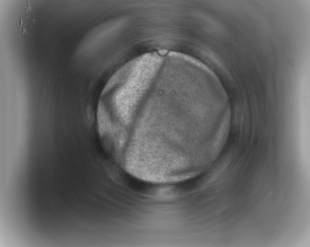 X0000103240173200809181551