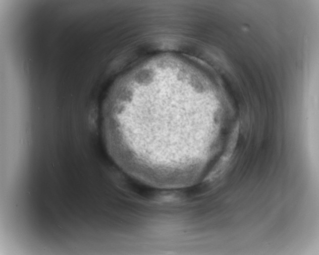 X0000103240175200809181551