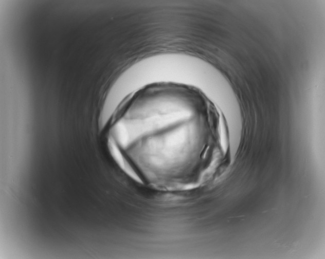 X0000103240180200809181551