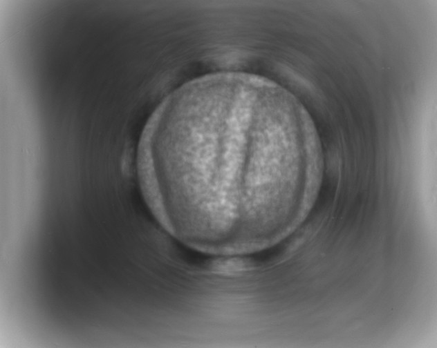 X0000103240181200809181551