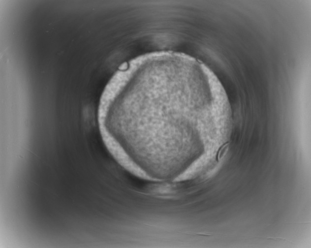 X0000103240182200809181551