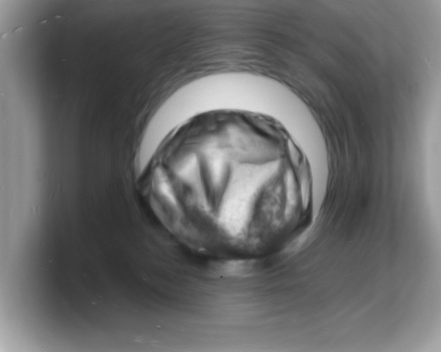 X0000103240184200809181551