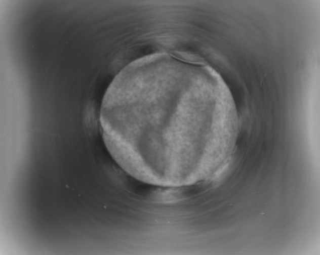 X0000103240186200809181551