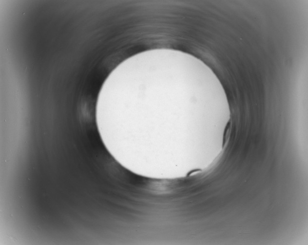 X0000103240190200809181551